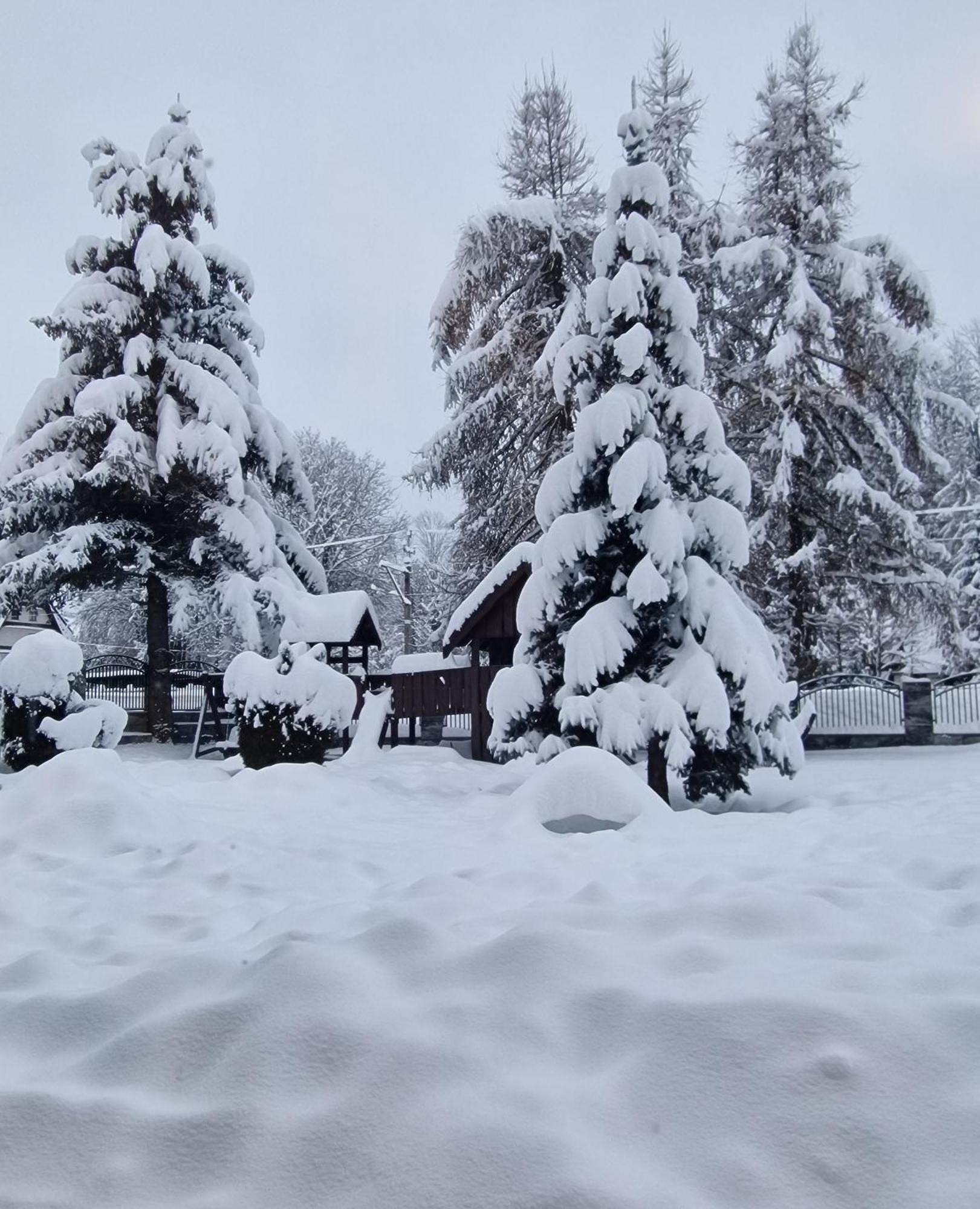 Willa Florynka Biały Dunajec Exterior foto